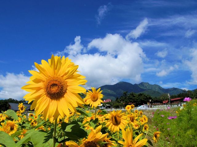 21年 カップルにおすすめの夏休み国内旅行先のおすすめ人気ランキング30選 Mybest