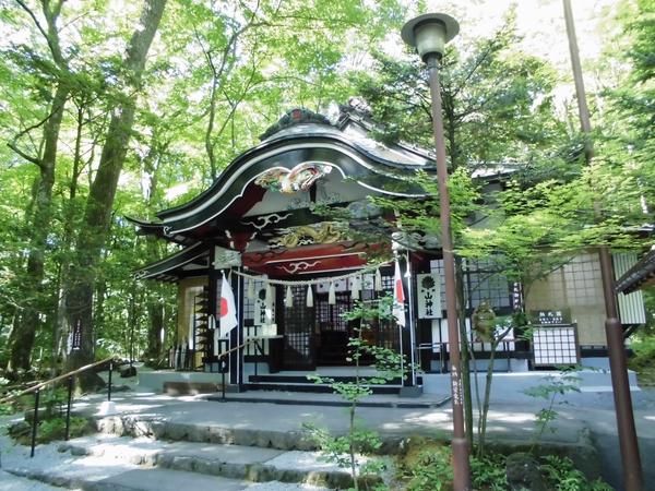 金運アップにおすすめの神社のおすすめ人気ランキング【2024年】 | マイベスト