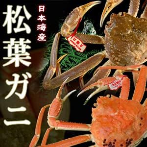 日本海産 茹で松葉がに 2