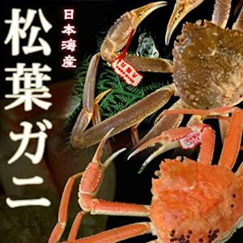 日本海産 茹で松葉がに 2