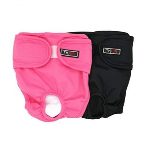 22年 犬用オムツのおすすめ人気ランキング選 Mybest