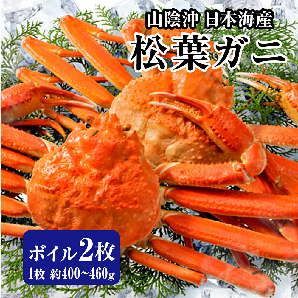松葉ガニ通販のおすすめ人気ランキング【2026年5月】 1