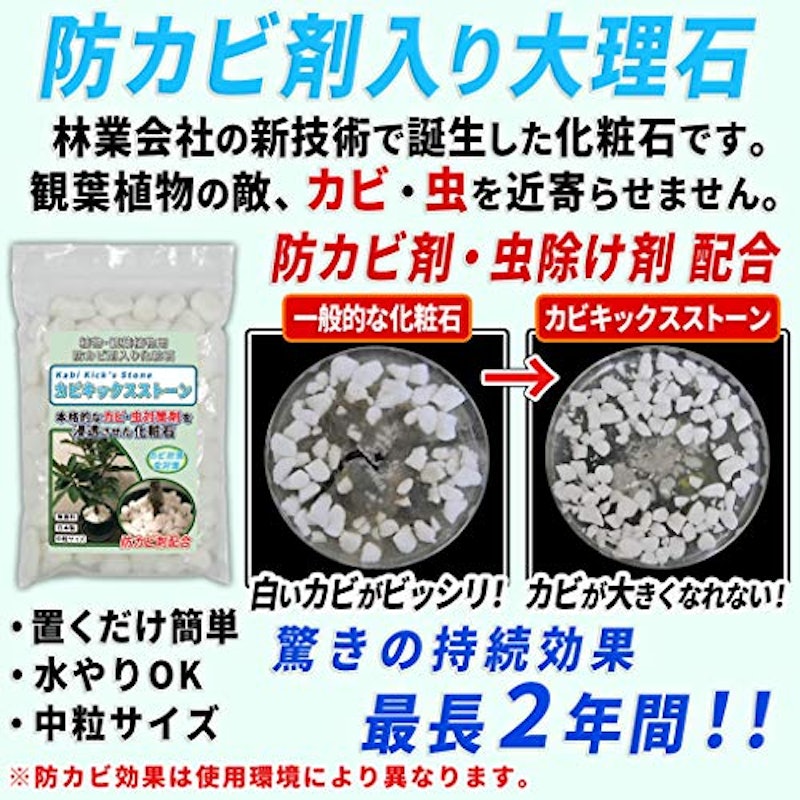 観葉植物用 防カビ剤入り化粧石 2