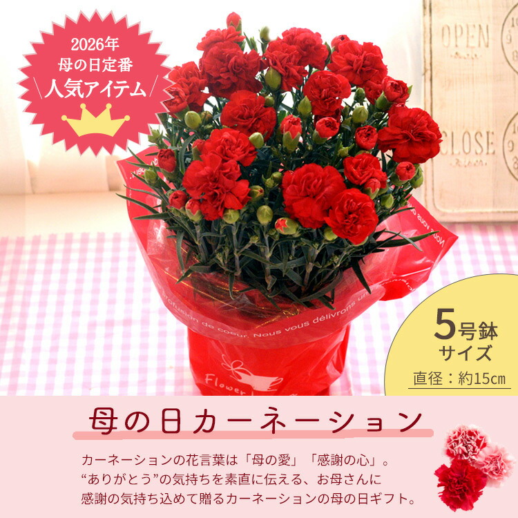 選べる花鉢 4