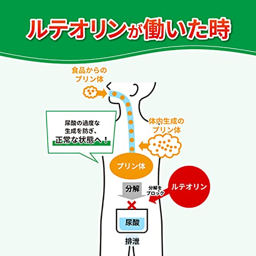 尿酸へルプ 4