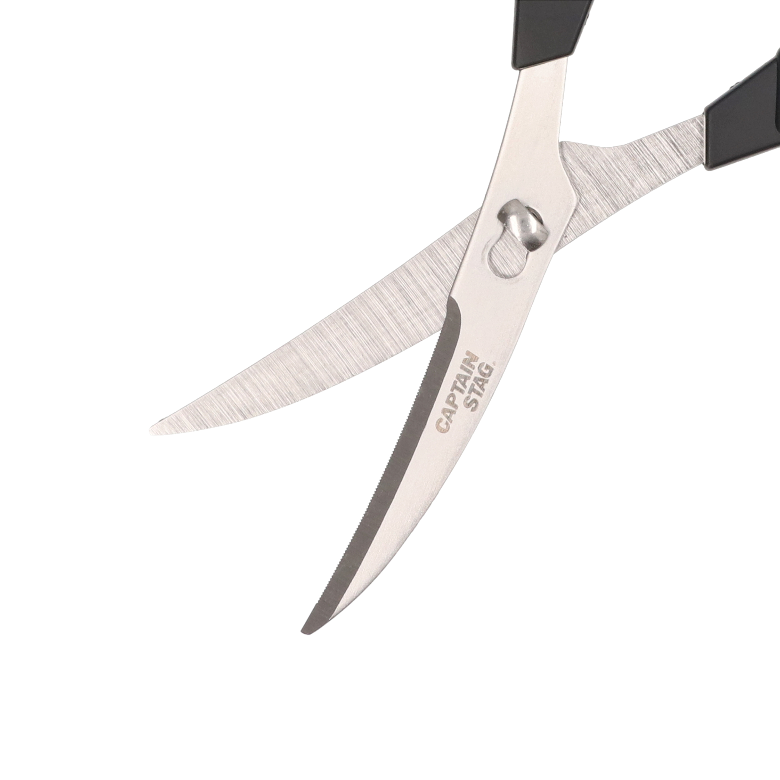 キャプテンスタッグ カーブ 万能キッチンバサミ UH-4710をレビュー