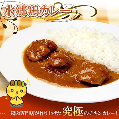 鶏カレー 2