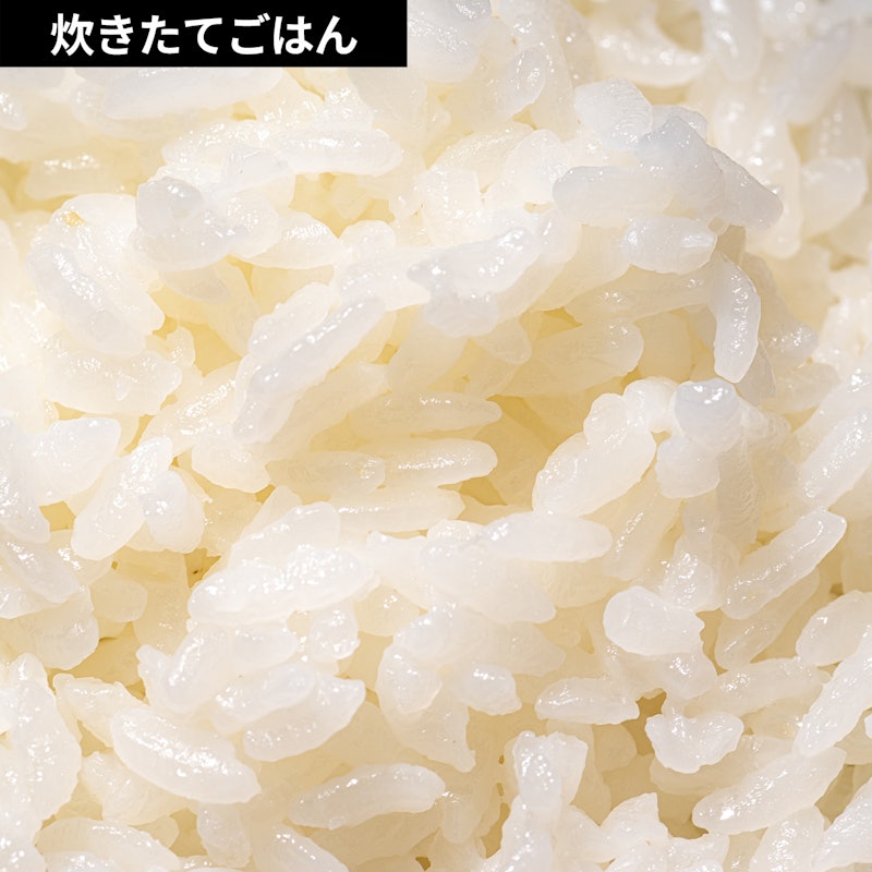 マイコン炊飯ジャー 10