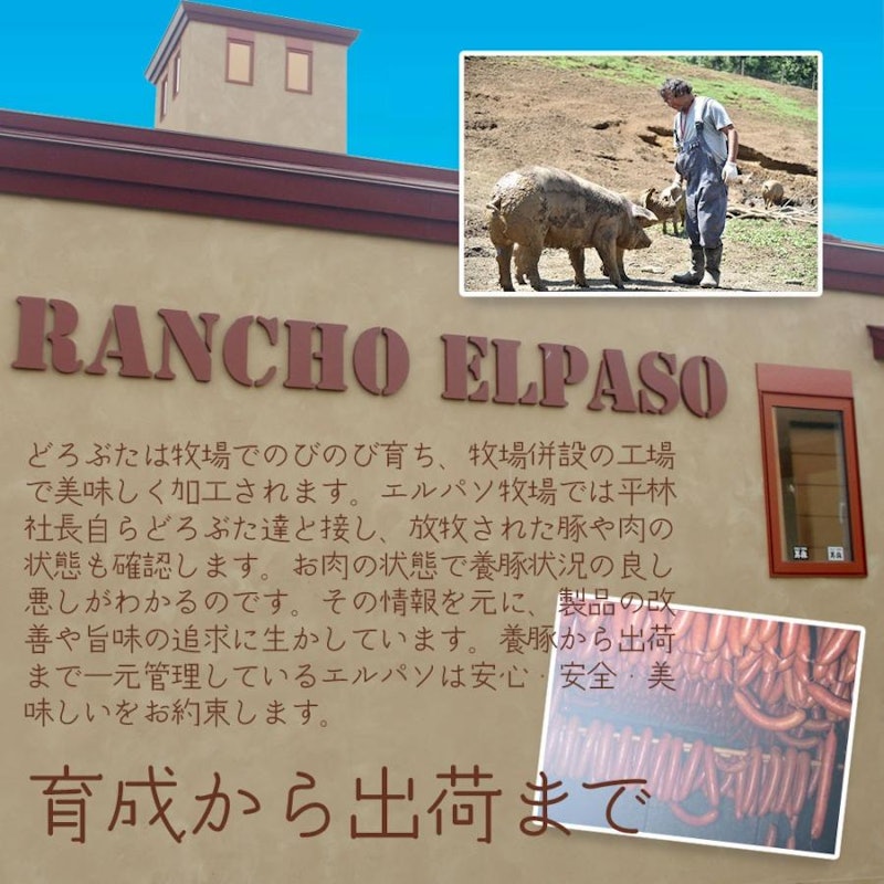 パンチェッタ 3