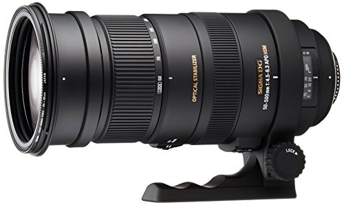 APO 50-500mm F4.5-6.3 DG OS HSM 1