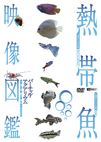 熱帯魚図鑑のおすすめ人気ランキング【2025年】 | マイベスト