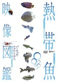 熱帯魚図鑑のおすすめ人気ランキング【2026年9月】 4