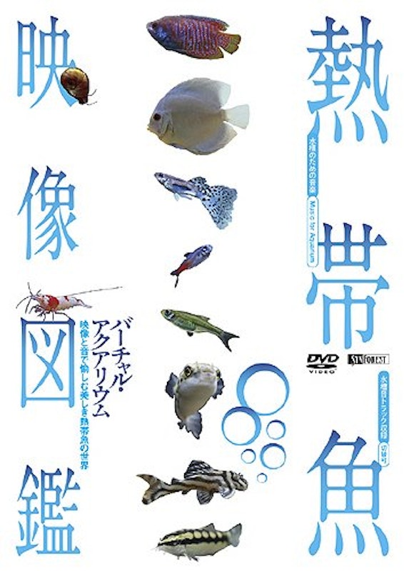 熱帯魚映像図鑑 バーチャル・アクアリウム 1