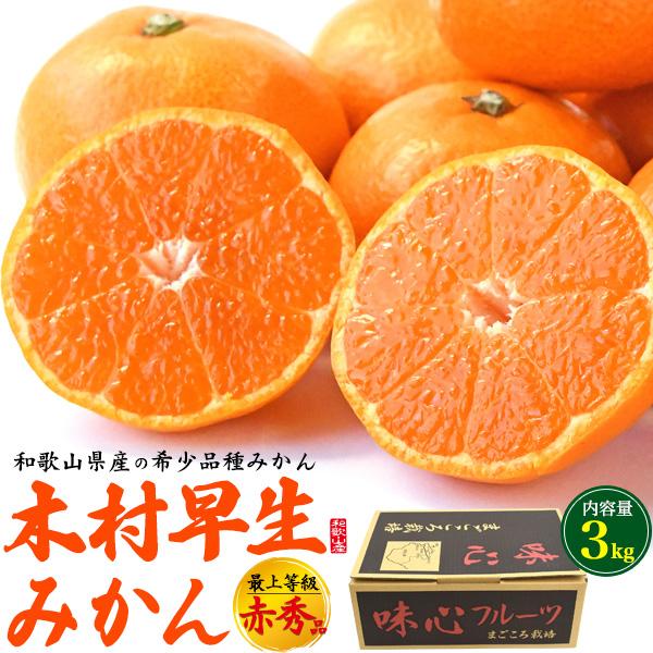 木村早生みかん 1