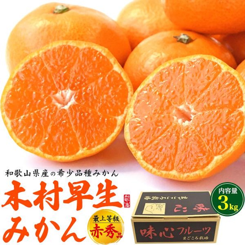 木村早生みかん 1