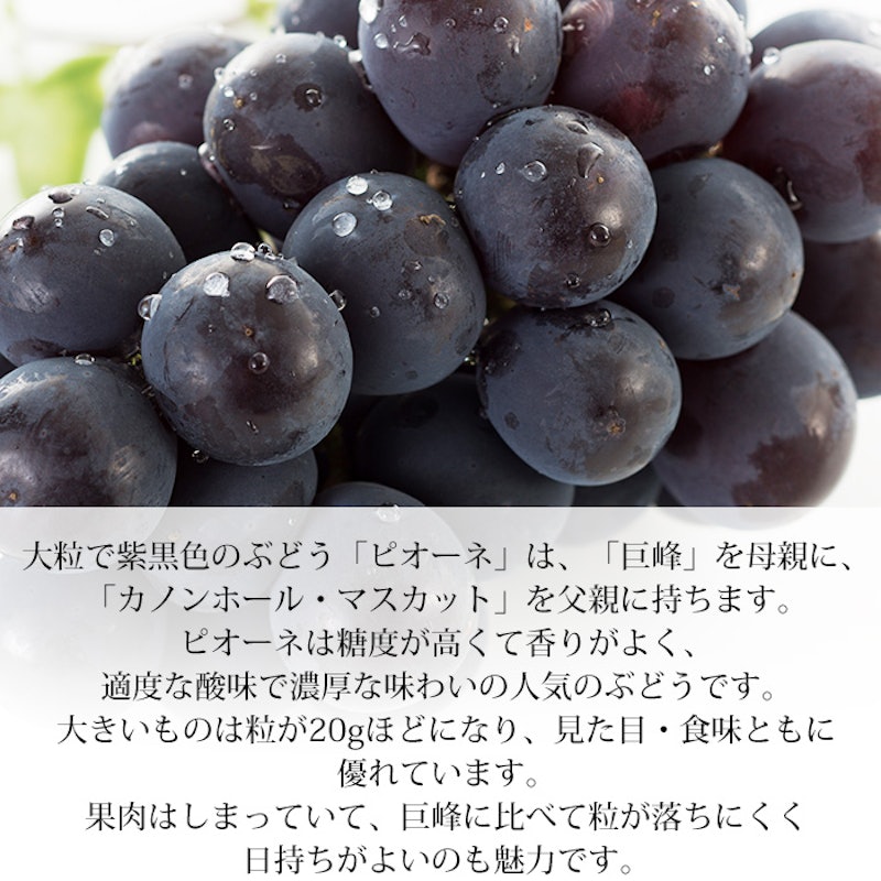 やっちゃばくらじ フルーツ詰め合わせ 3