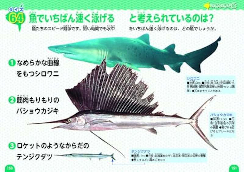 魚のクイズ図鑑 6
