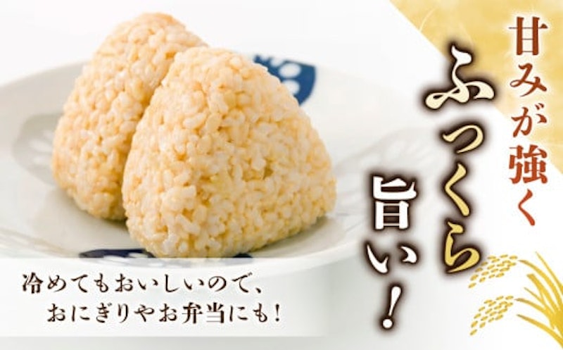 里山JAPAN 御牧原米こしひかり 玄米 2