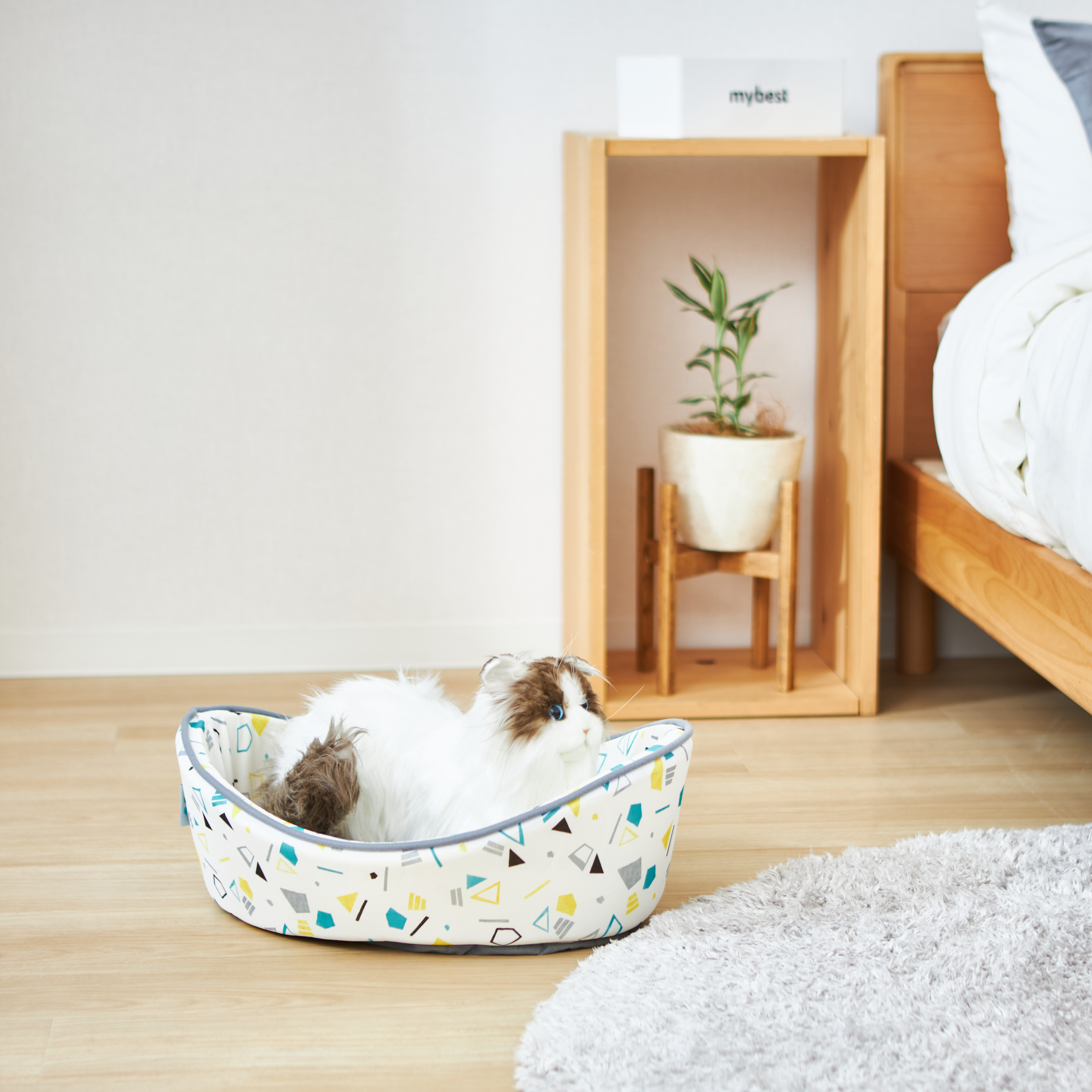 94b5a9df84fe66bcad37636fecb7c9