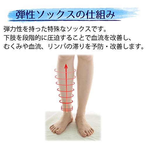 医療用弾性ソックス Day 7