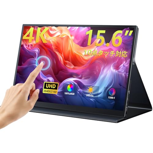 Portable Touchscreen Monitor 1
