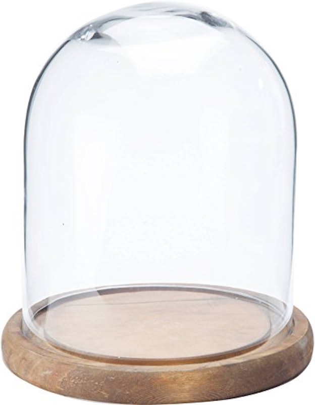 21年 ガラスドームのおすすめ人気ランキング10選 Mybest 21年 ガラスドームのおすすめ人気ランキング10選 Mybest