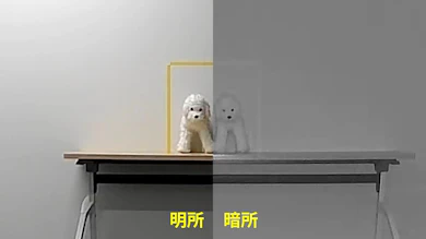 明るくても細部はぼやける。暗所は様子がつかめる程度