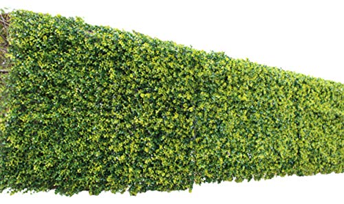 22年 グリーンフェンスのおすすめ人気ランキング14選 Mybest