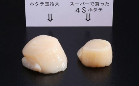 オホーツク産 ホタテ玉冷大 2