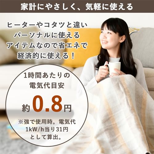 電気敷き毛布 4