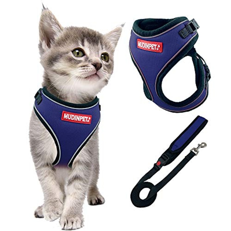 22年 猫用ハーネスのおすすめ人気ランキング25選 Mybest 22年 猫用ハーネスのおすすめ人気ランキング25選 Mybest