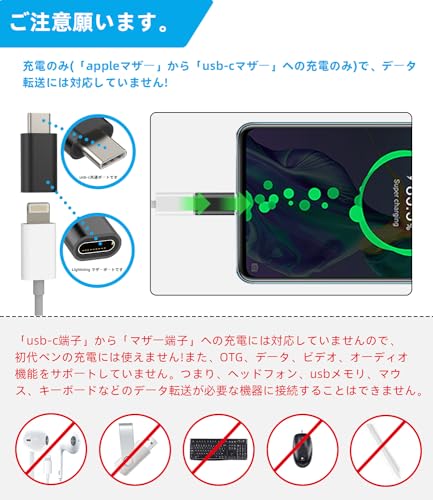 タイプc 変換アダプタ 2