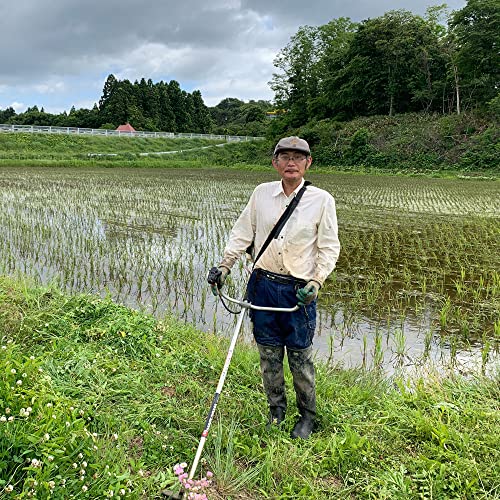 水菜土農園 あきたこまち 3