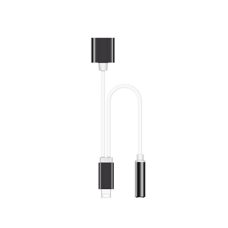 iPhone イヤホン 変換ケーブル 5