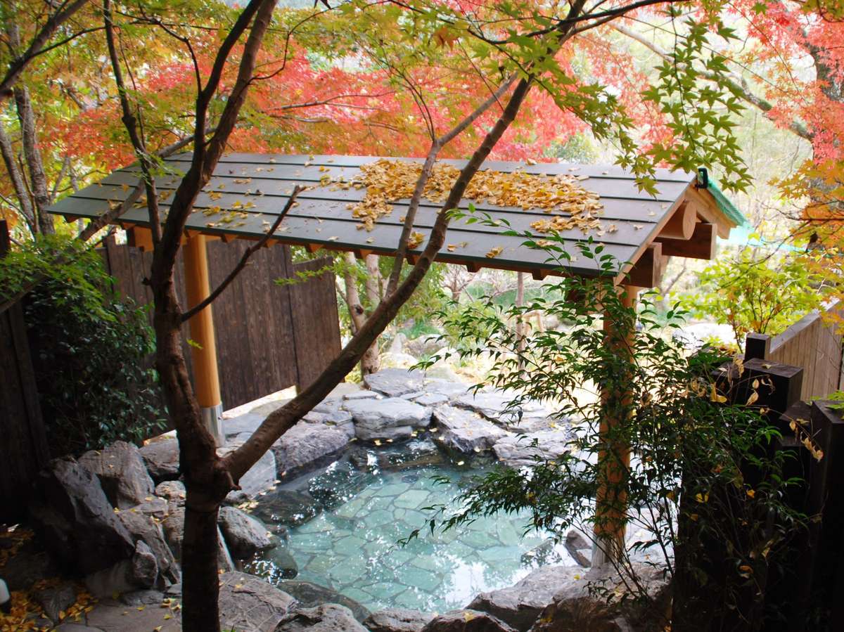 富士ビラ 山華の正 1