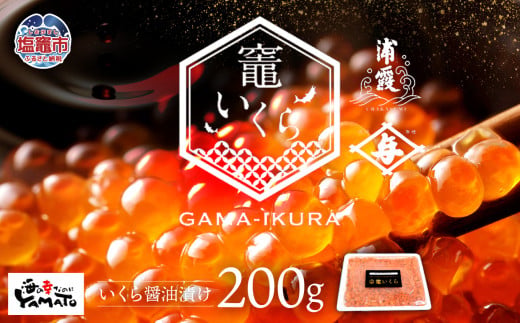 竈いくら（いくら醤油漬け） 1