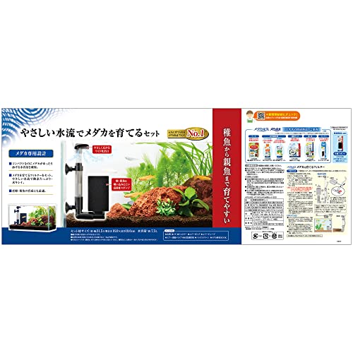 メダカのための水槽セット 5