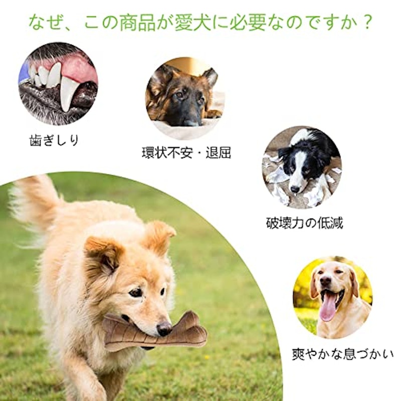 犬用骨型おもちゃ 2