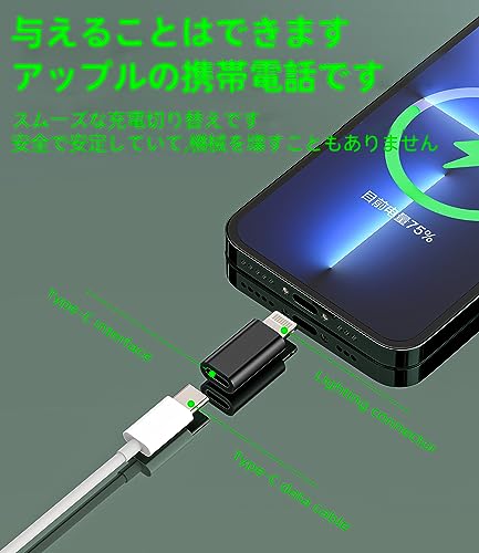 変換usb c 充電器 アダプタ 3