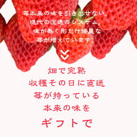 越後姫 3