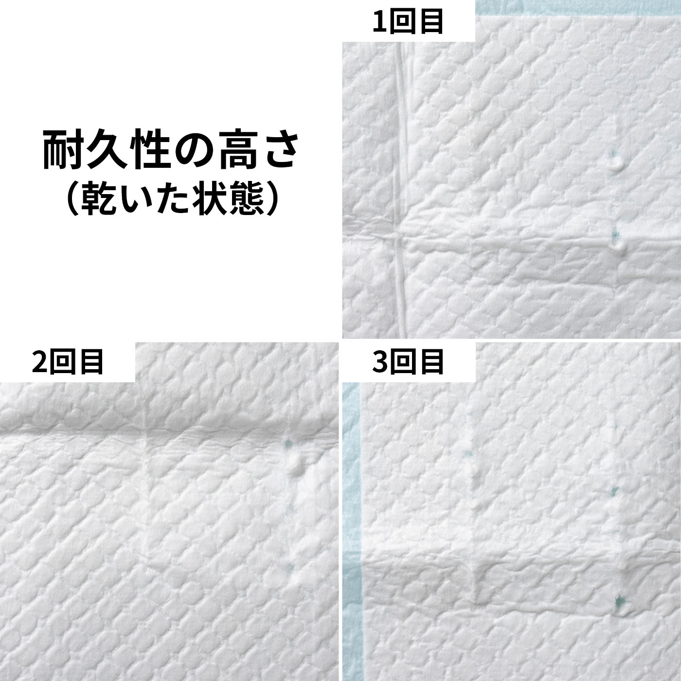 ペットシーツ 5