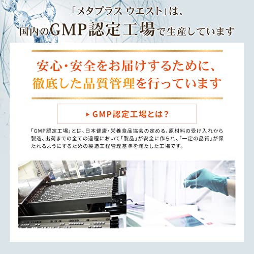 メタプラス ウエスト 9