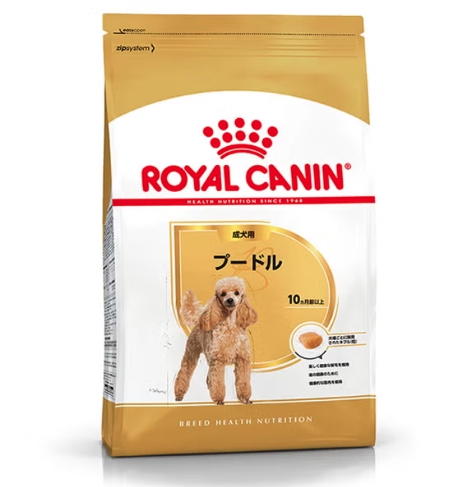 プードル 成犬用 1