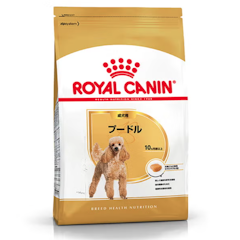 プードル 成犬用