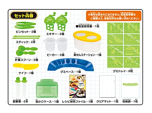 グミップルラボ 研究発表DX 11