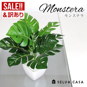 21年 フェイクグリーンのおすすめ人気ランキング10選 Mybest