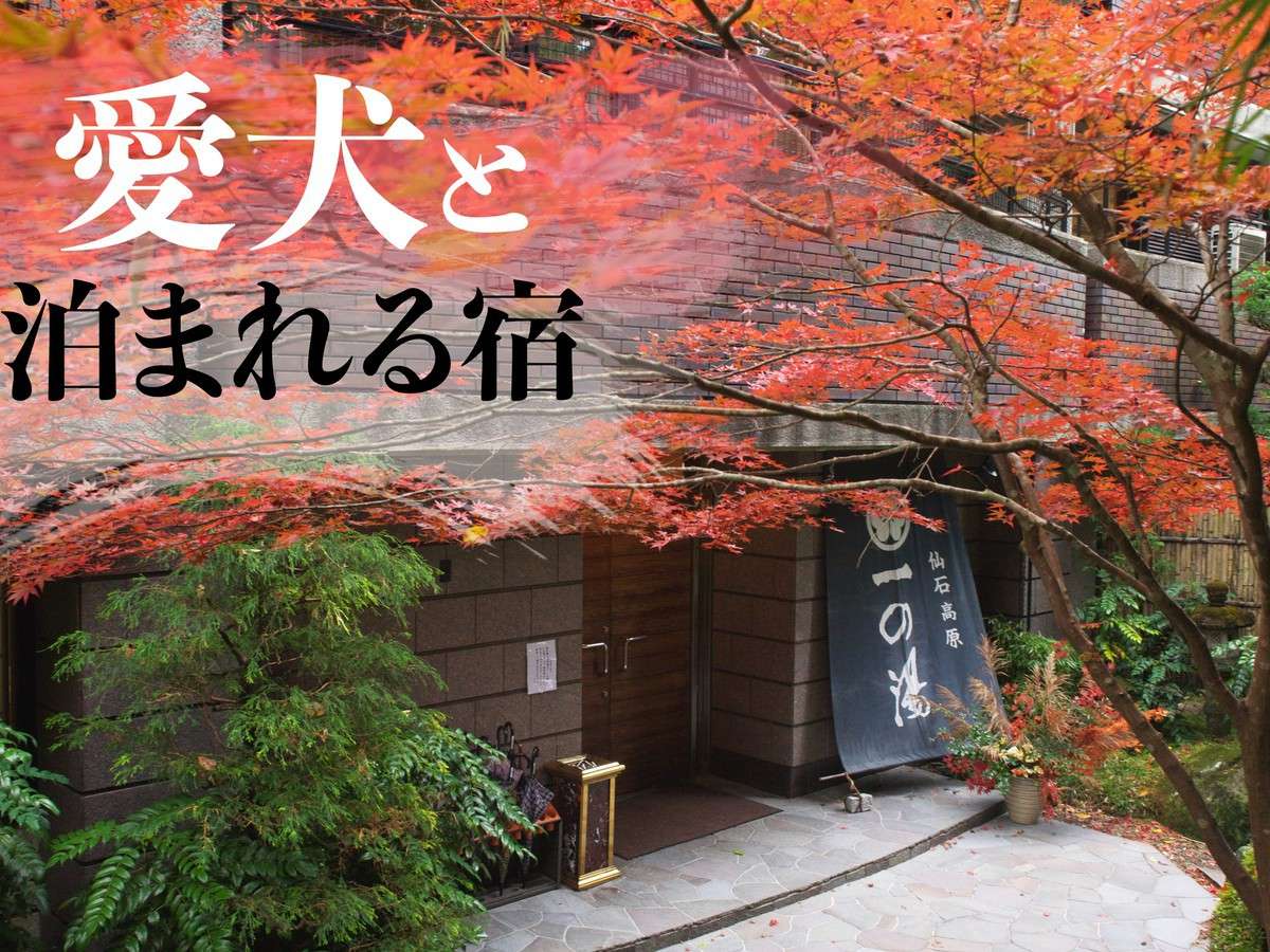 仙石高原大箱根 一の湯 2