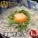 北辰水産 釜揚げしらす 1