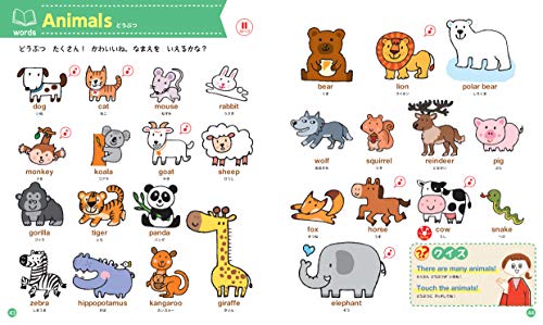 幼児用英語教材のおすすめ人気ランキング【2025年】 | マイベスト