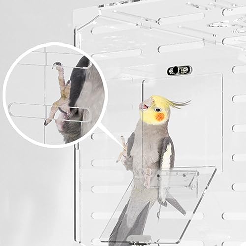 クリアアクリル鳥かご 3